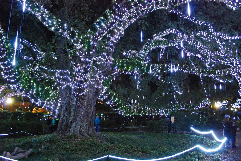 Where To See The Flashiest Christmas Lights In The US