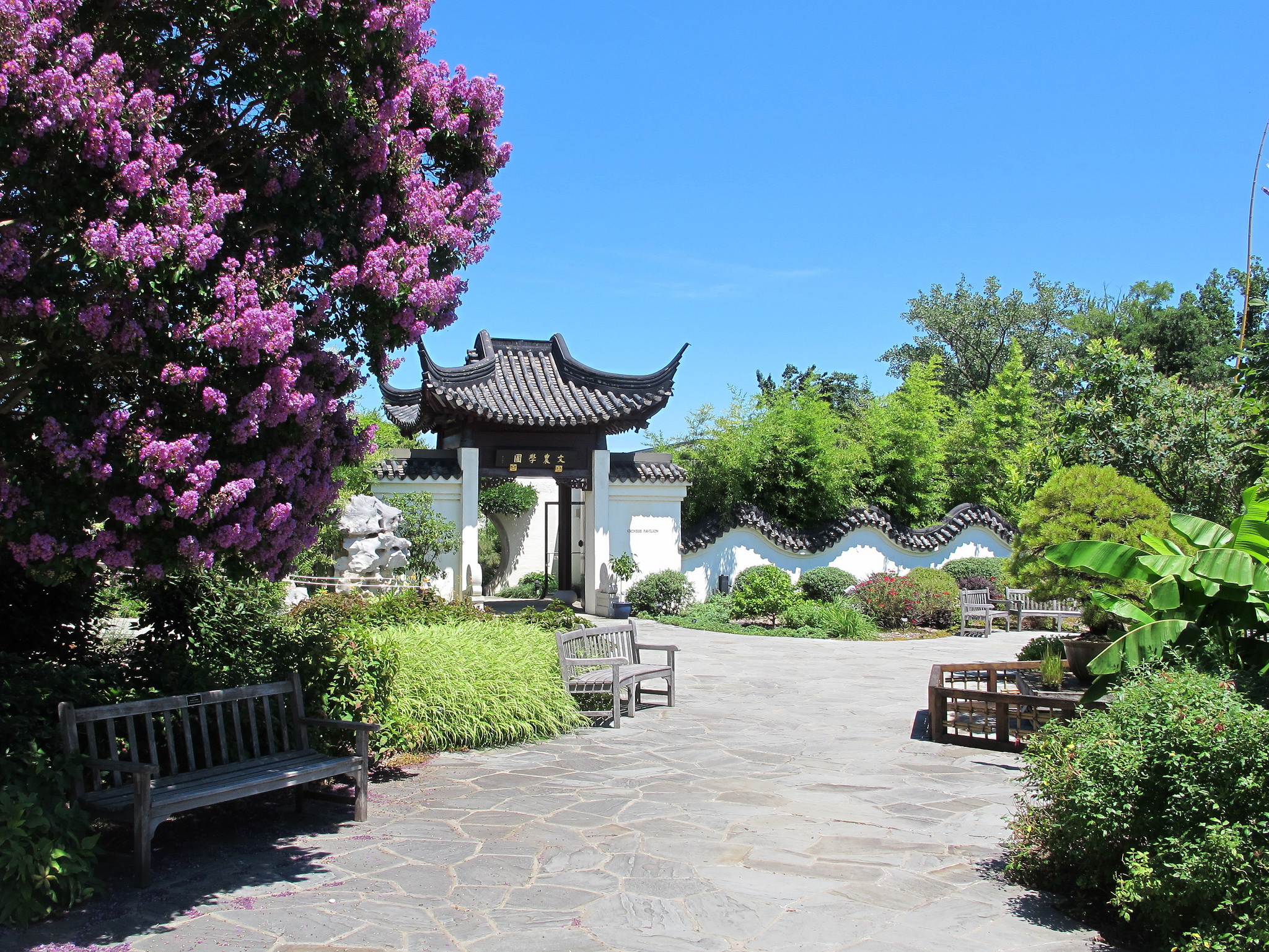 Beautiful Gardens You Have To Visit In DC