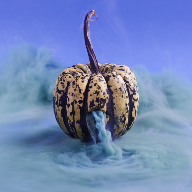 Carnival Squash, Secret Lives, Courtesy of Maciek Jasik