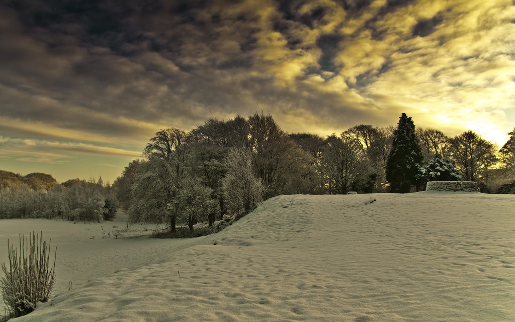 Cathkin Braes | © Colin Macdonald/Flickr