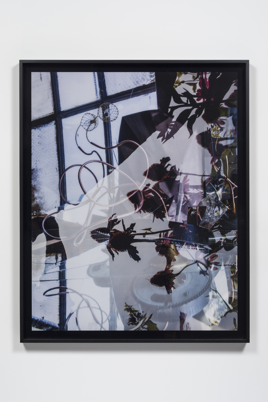 Willa Nasatir, White #1, 2016. C-print, tacks. 39 3/4 x 49 inches. Edition of 3 with 1 AP. Courtesy the artist and Ghebaly Gallery, Los Angeles. Photo: Jeff McLane