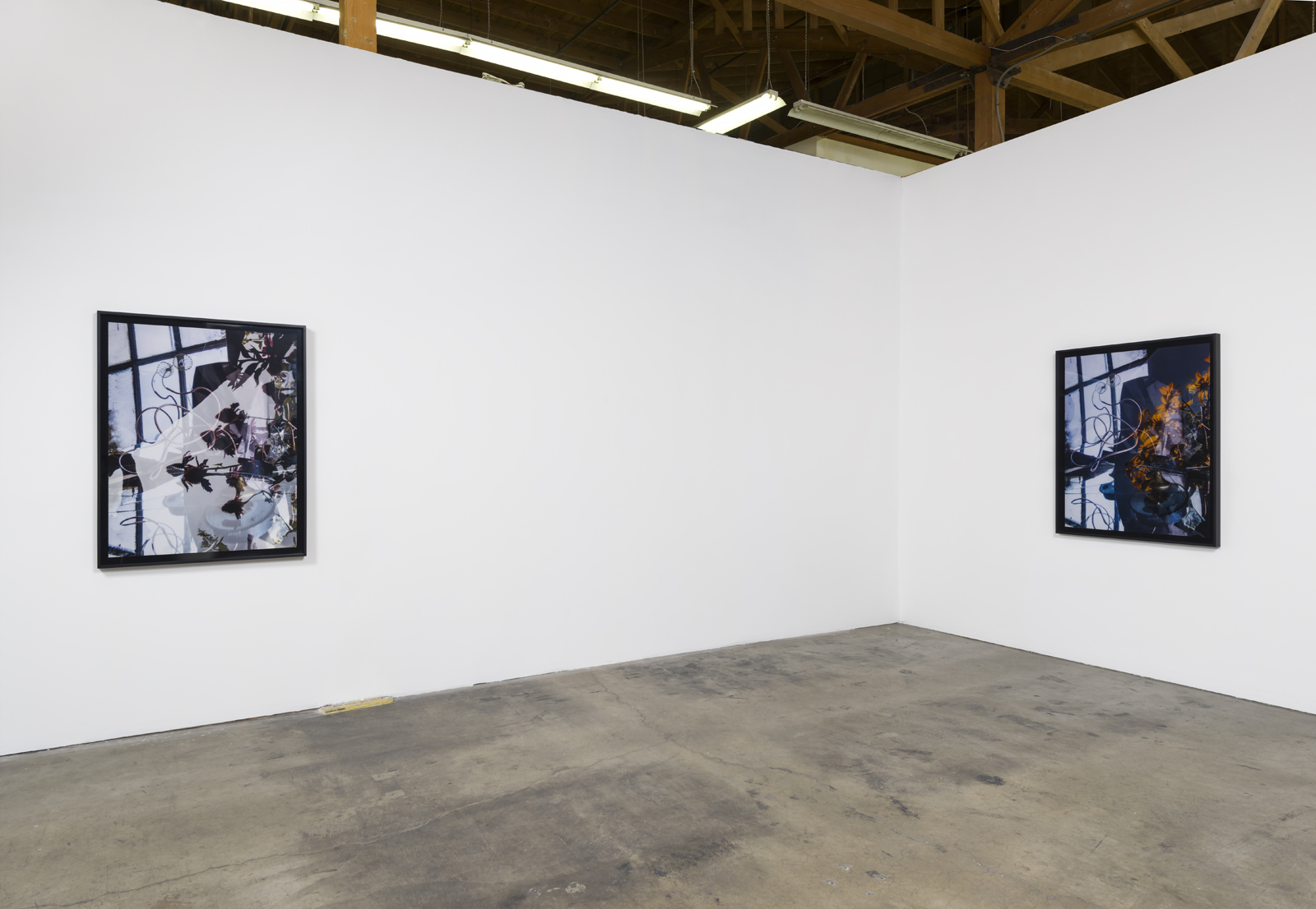 Willa Nasatir, installation view, Ghebaly Gallery, September 16 - October 29, 2016. Courtesy the artist and Ghebaly Gallery, Los Angeles. Photo: Jeff McLane