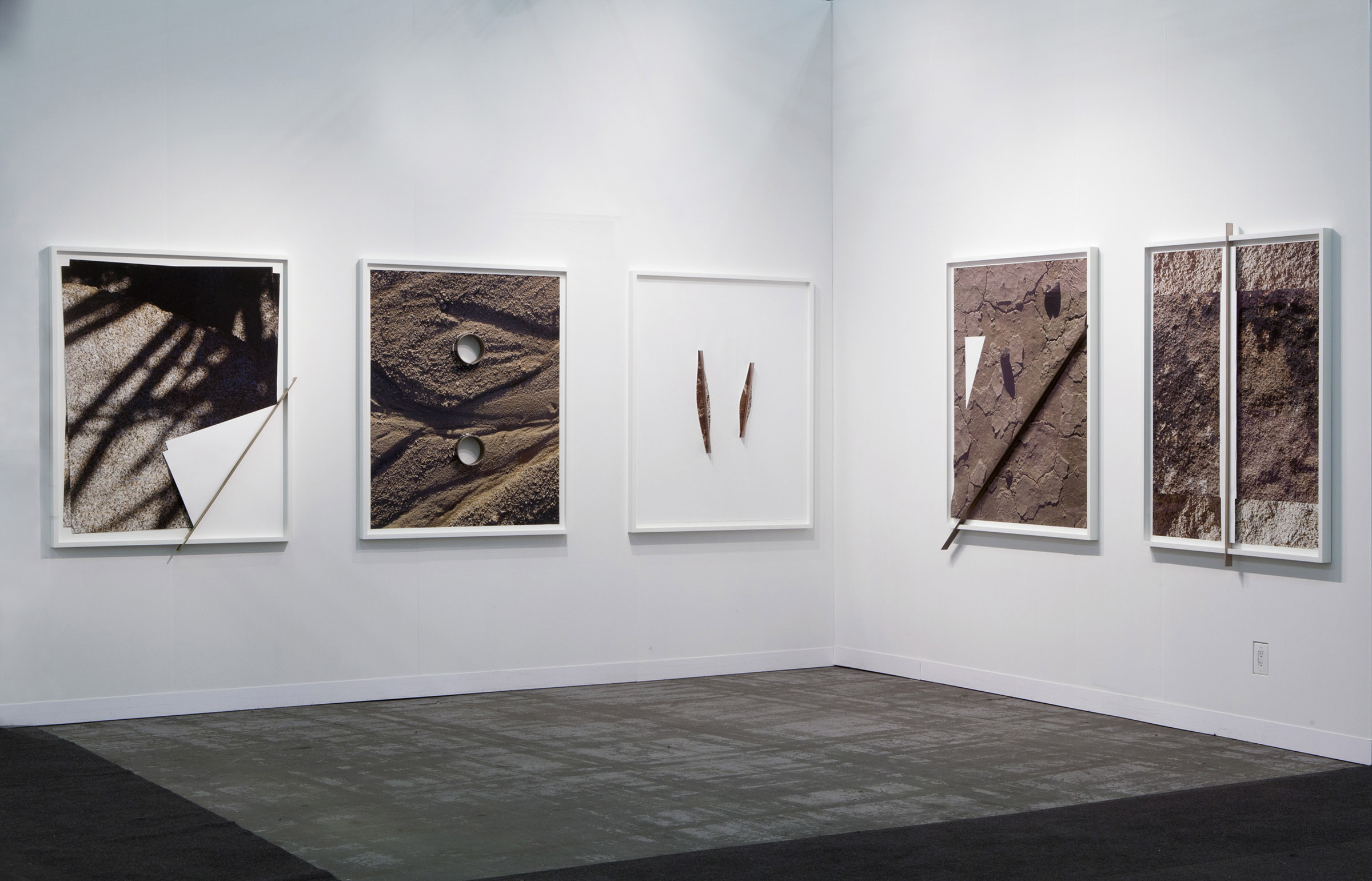 Installation view at Armory Show 2016 Joshua Tree Bronze Push series, 2016 Archival inkjet prints, bronze, museum plexiglas, wood frame Each approx 60” x 45” x 2 1/8” | Courtesy of Letha Wilson