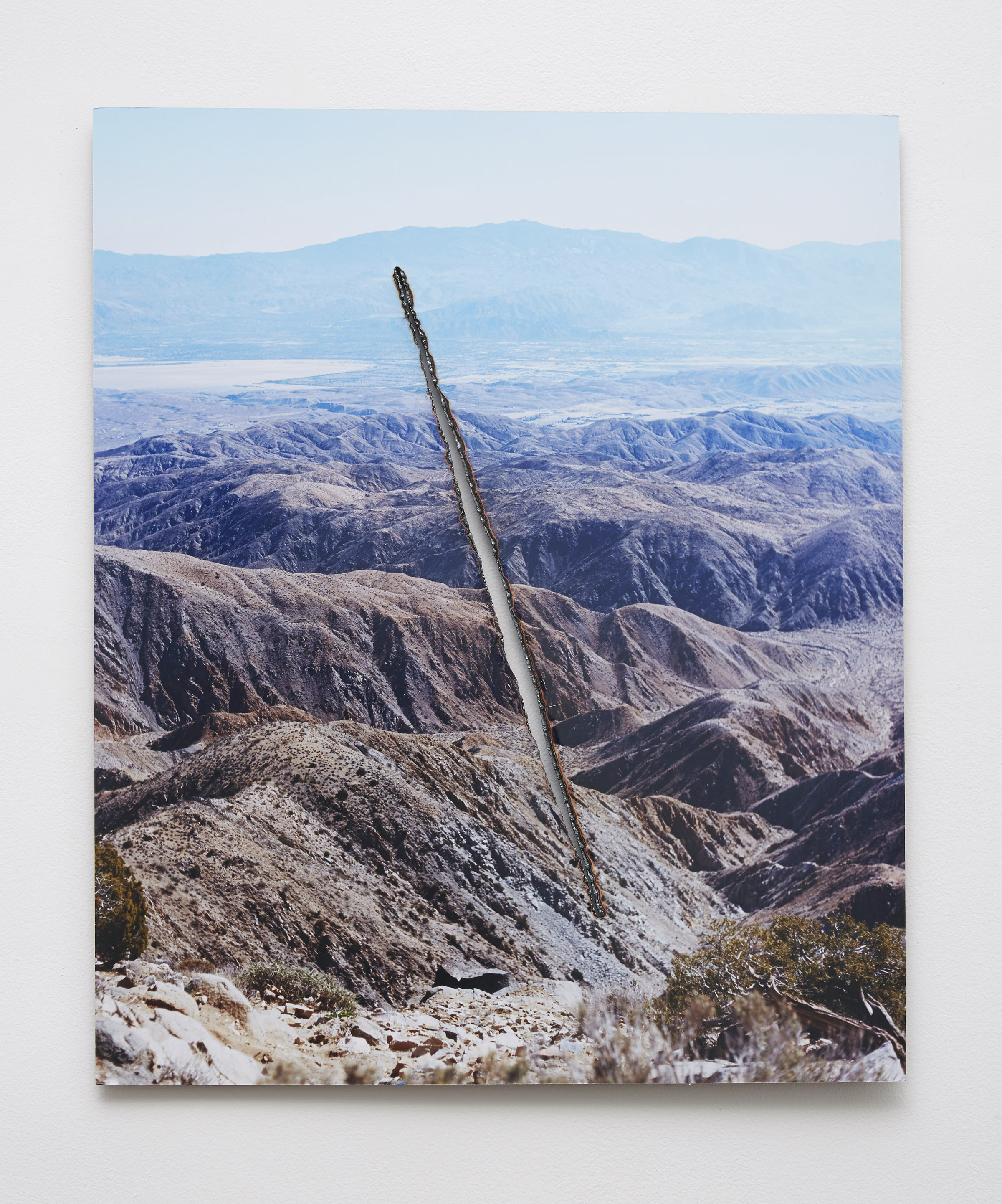 Joshua Tree Steel Cut (Slash), 2015 C-print, steel 24” x 20” | Courtesy of Letha Wilson