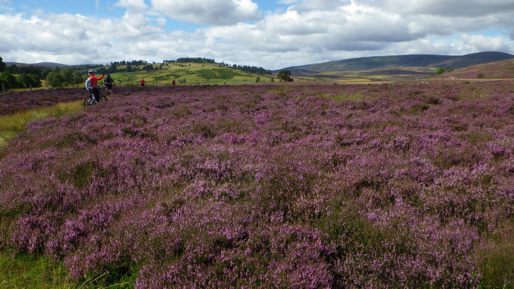 Mountain Biking Coast To Coast | Courtesy Of Wilderness Scotland