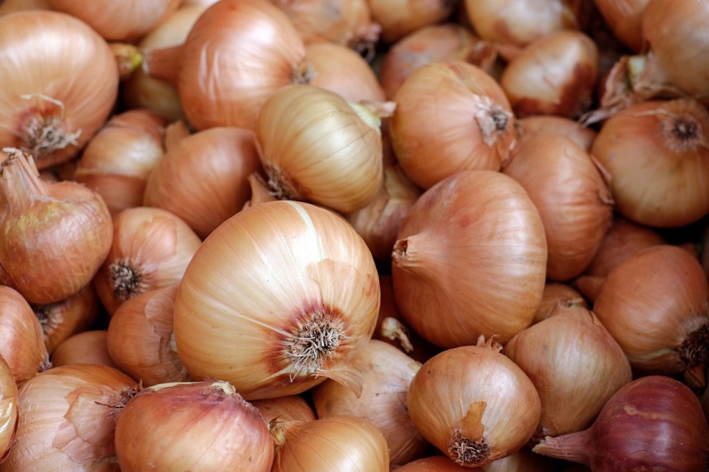 Onions | © Couleur/pixabay