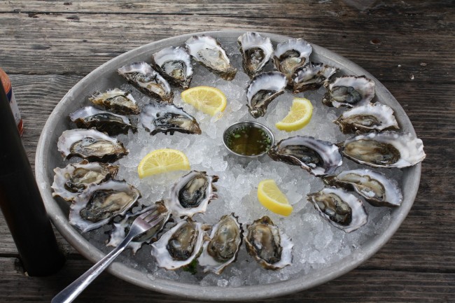Oysters /©Pixabay