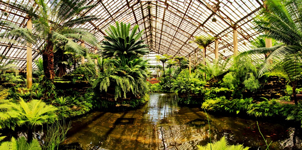 Garfield Park Conservatory, courtesy of