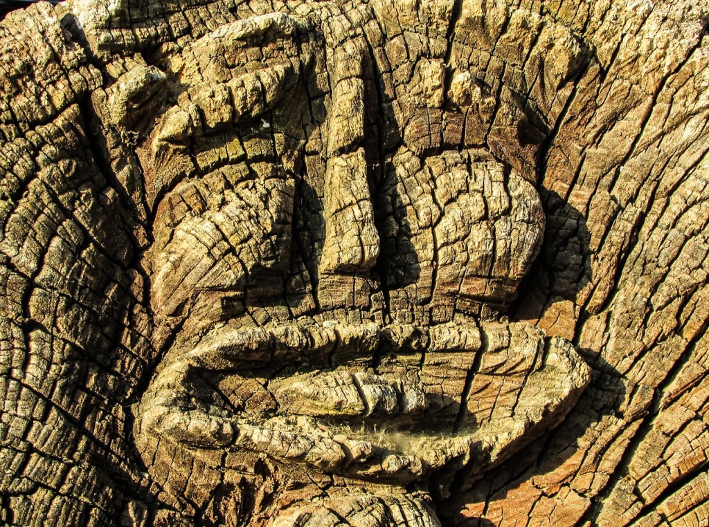 Wooden face | © dimitrisvetsikas1969/pixabay