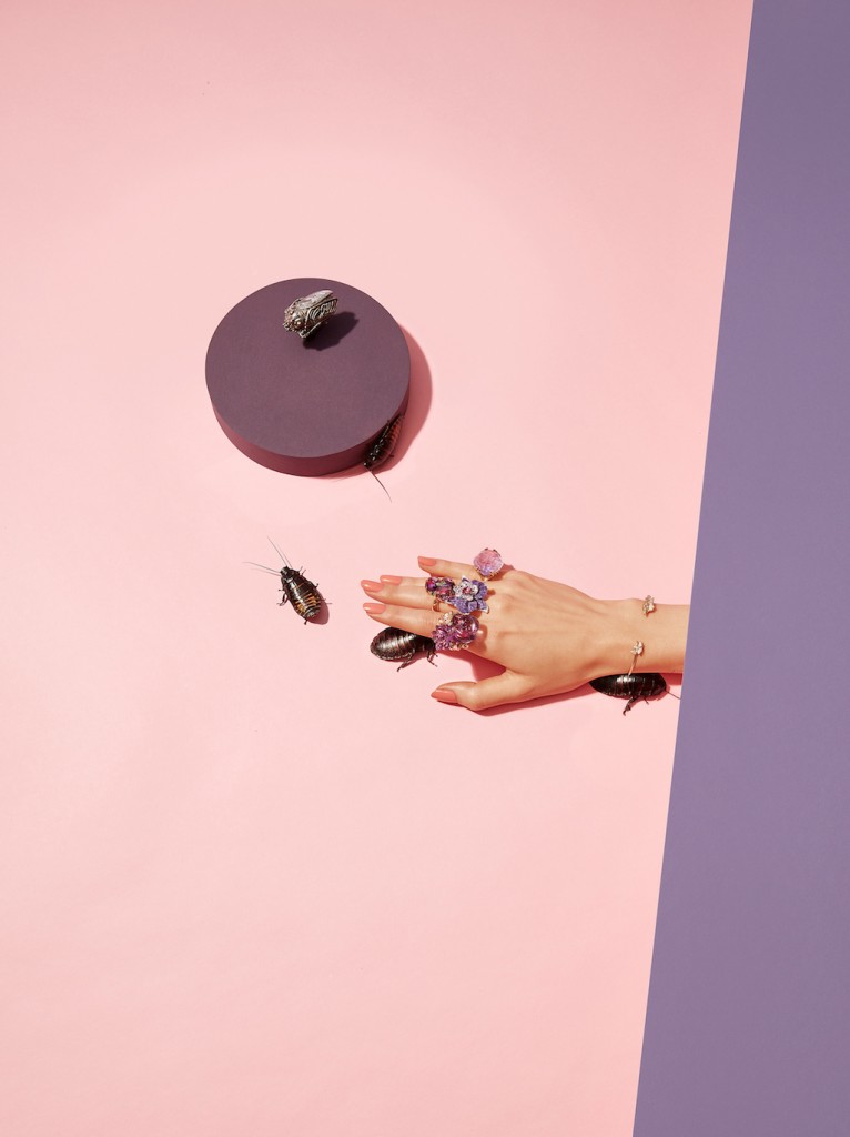 Animals vs. Jewelry © Oliver Schwarzwald, Germany, 2nd Place, Professional Still Life, 2016 Sony World Photography Awards