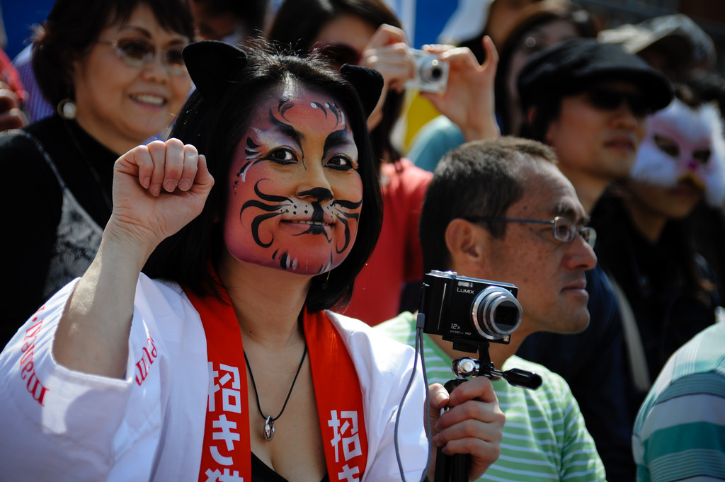 What To Know About Belgium’s CatThrowing Festival