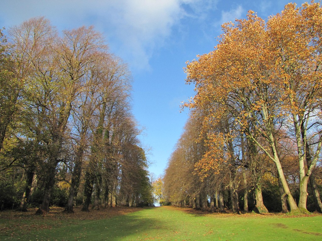 Pollok Country Park | © Caitriana Nicholson/Flickr
