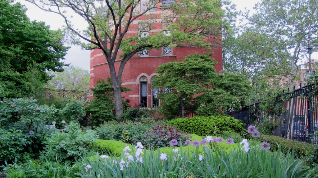 160515 026 Jefferson Market Garden - Iris x germanica Bearded Iris, Allium sp Ornamental Onion | © K M/Flickr