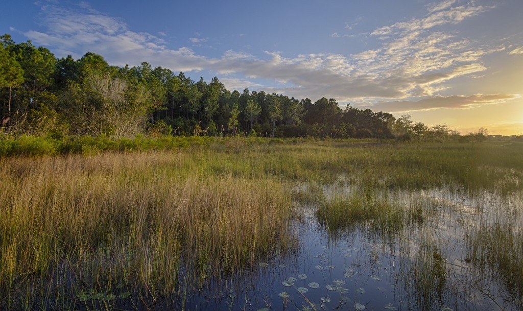 The 10 Best Hiking Trails in Orlando