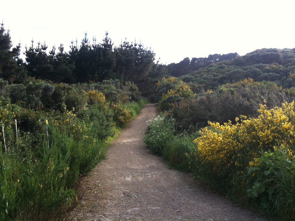 The Best Cycling Routes In Wellington, New Zealand