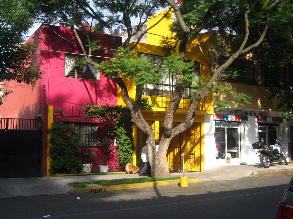 Vibrant houses, Coyoacán | © megananne/Flickr
