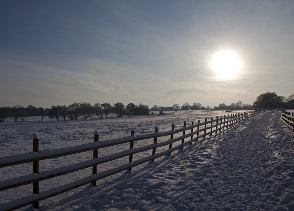 A wintery Woodgate Valley
