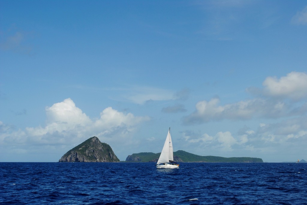 Sailing | © larsen9236/Pixabay