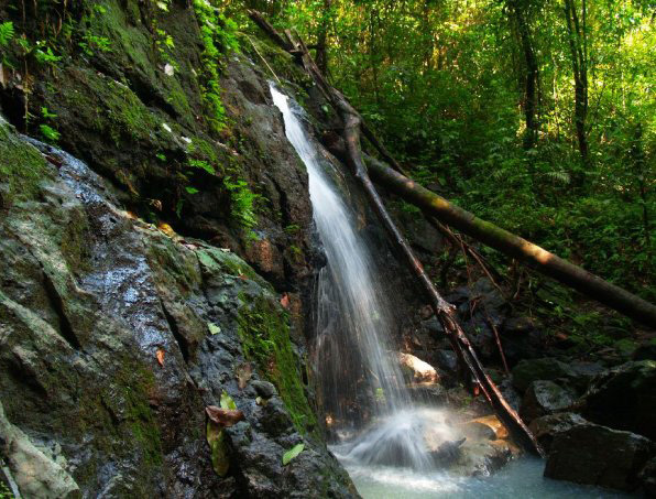 Jungle Scene | ©Matthijs Strietman/Flickr