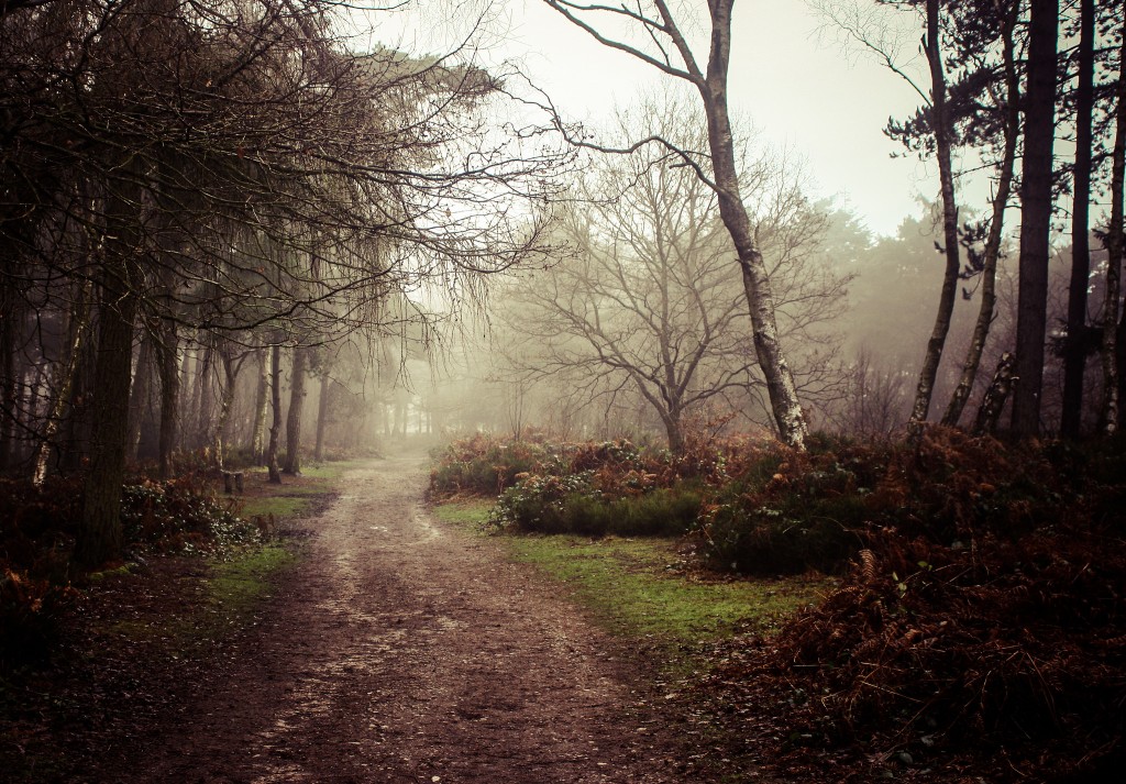 Lickey Hills walking trail