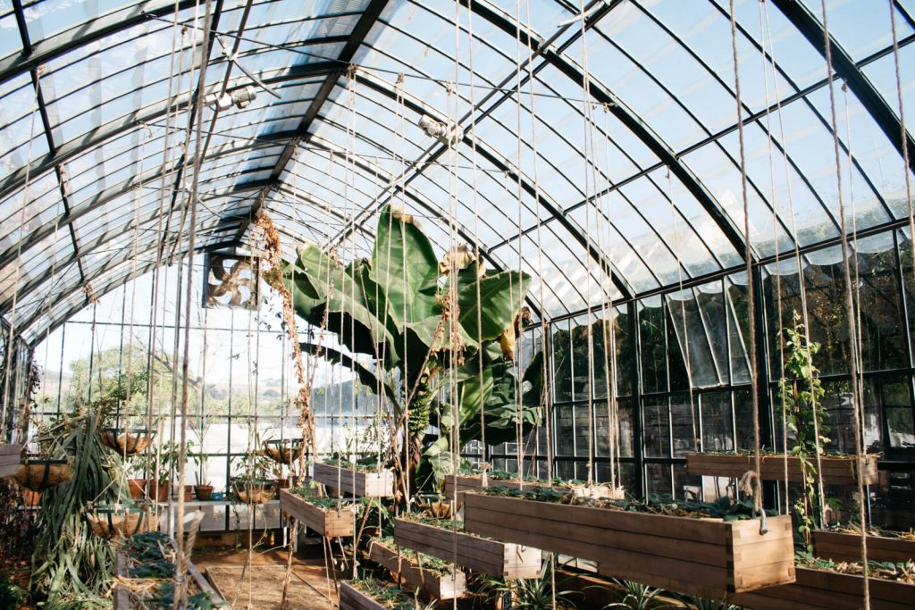 Babylonstoren, Winelands | Jess Stafford/© Culture Trip