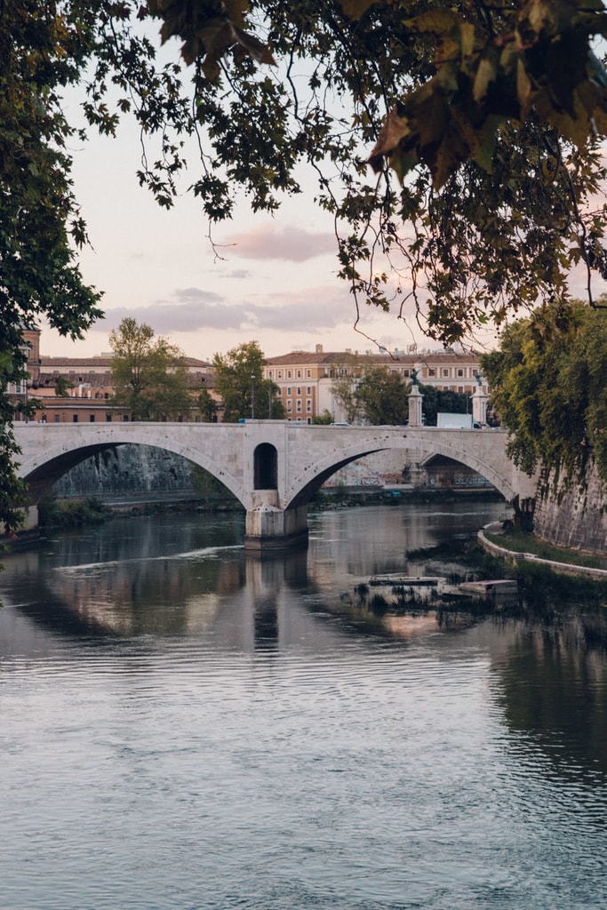 ORICCHIO- ROME -ITALY 2 TRASTEVERE (8)