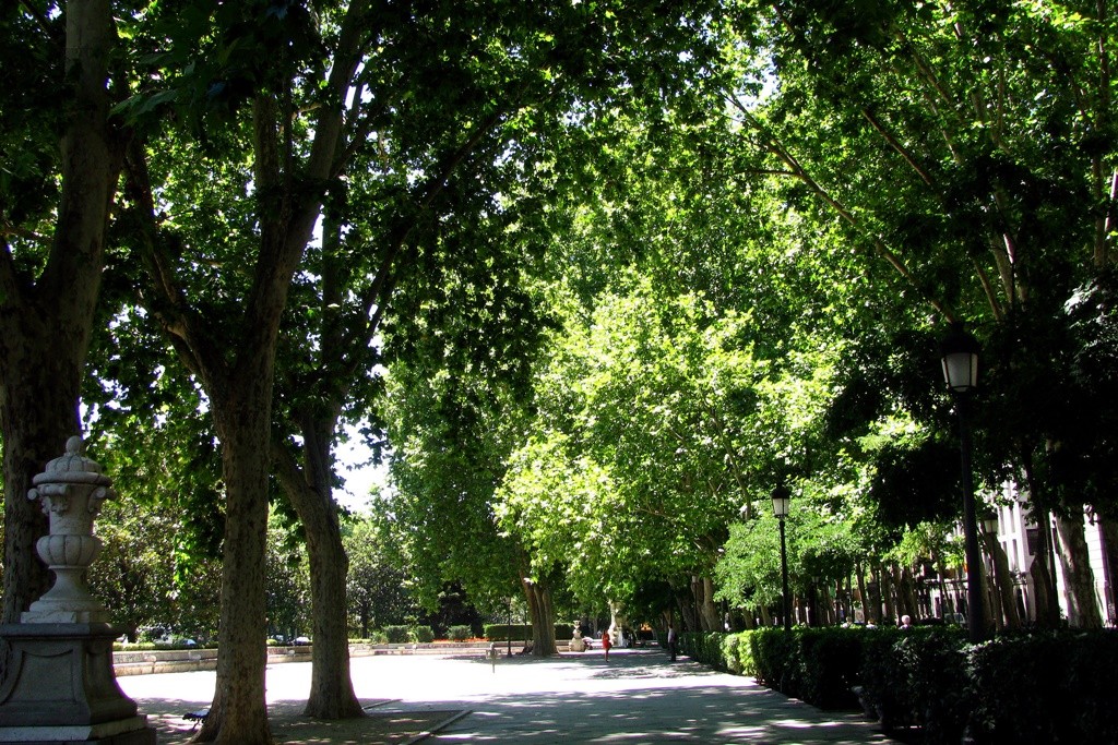 The Paseo del Prado | © Rubén Vique/Flickr