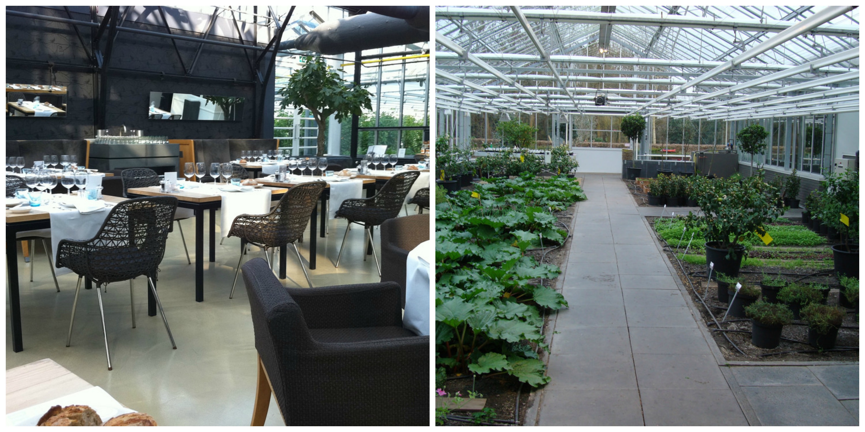 Greenhouse Kitchen Amsterdam Menu Greenhouse Kitchen Amsterdam Menu