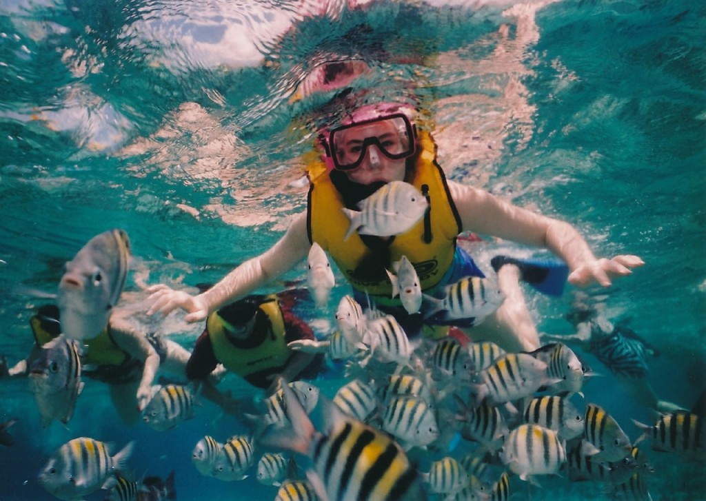 Reef Snorkeling | © Skeeze/Pixabay