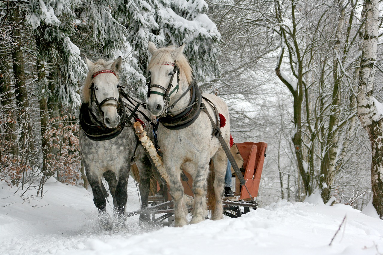 Sleigh Ride | Public Domain/Pixabay