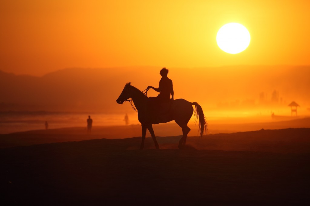 Stuart Dunn, silhouetted horse and rider, Rub’ al Khali, Oman