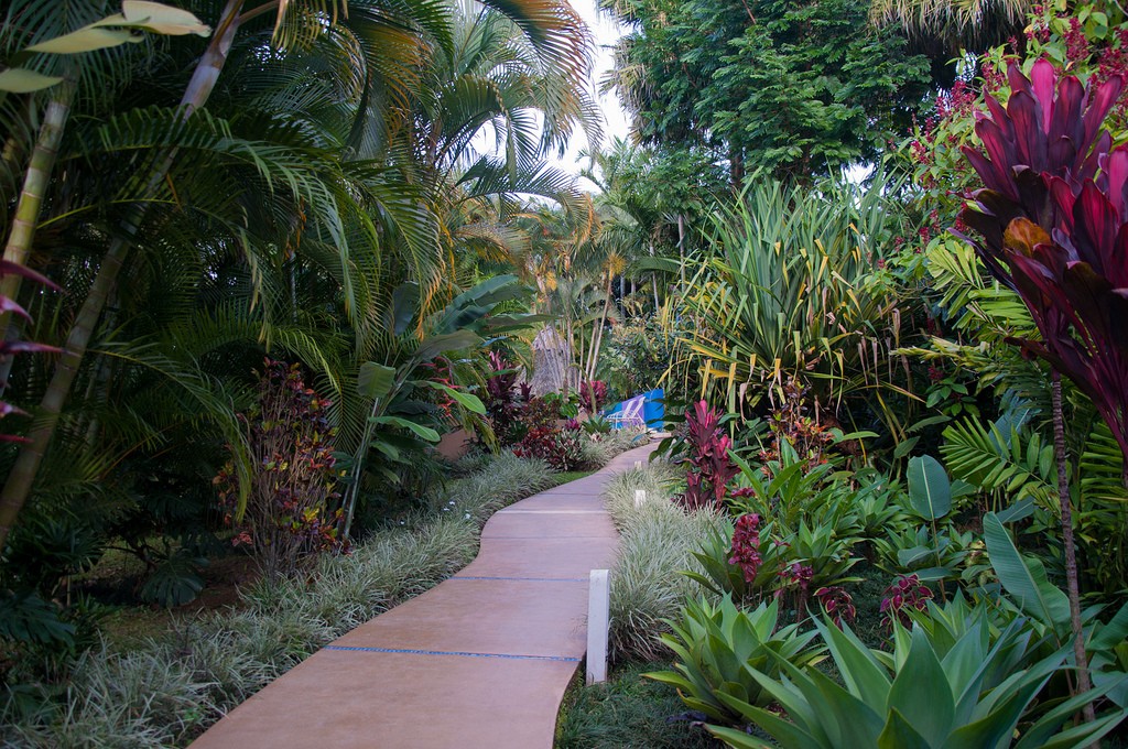 Inviting garden path/Wendy/Flickr