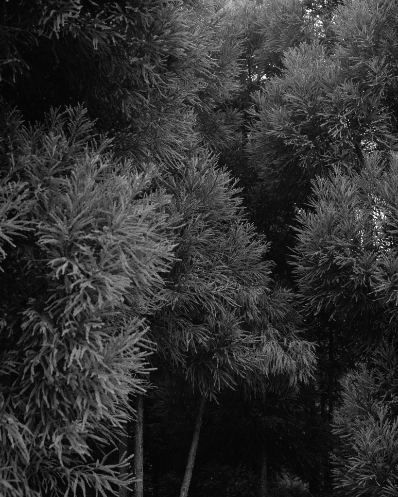 Awoiska van der, Molen #412-9, 2015 | © Awoiska van der Molen Courtesy of the artist
