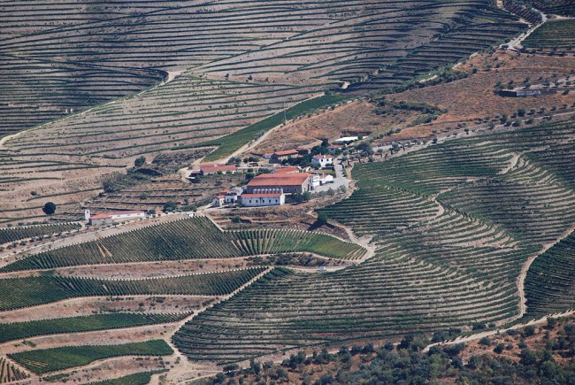 Alto Douro Vinhateiro - Zona de Pinhão © Concierge.2C / Wikimedia Commons
