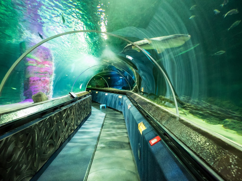 Shark Tunnel, Kelly Tarlton's Sea Life Aquarium | © Les Williams/Flickr