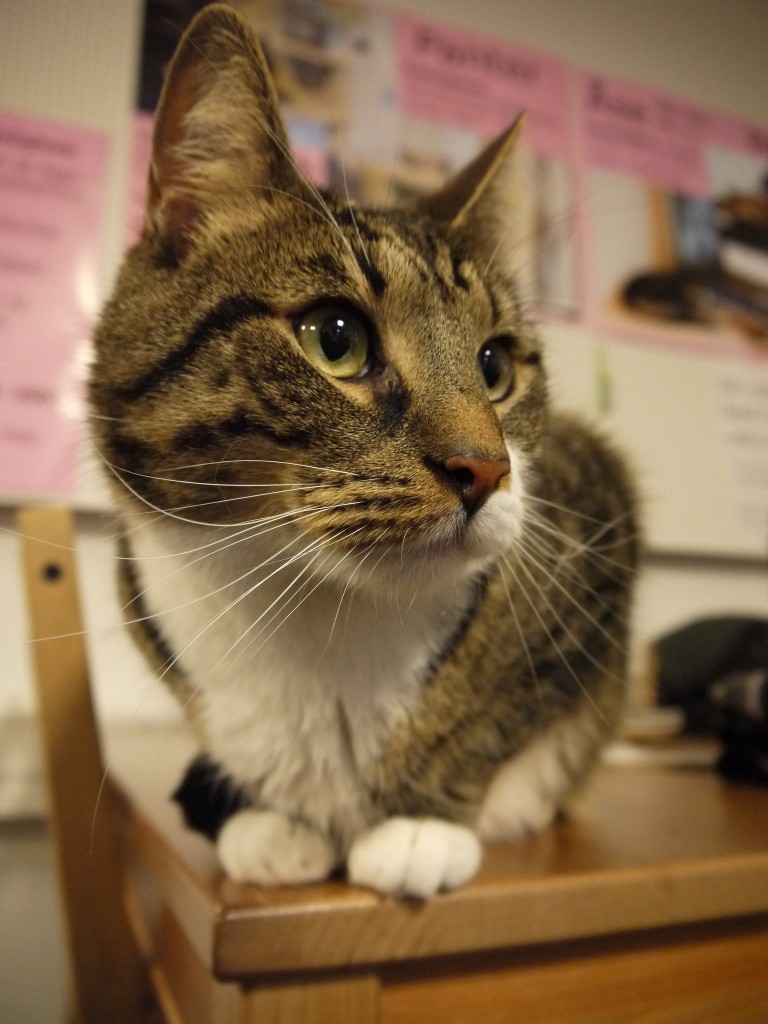 Café Miao | © Ella Mullins / Flickr
