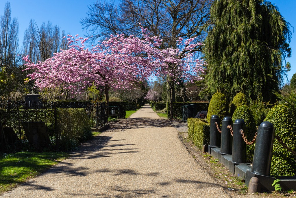 Assistens Cemetery | © Thomas Rousing / Flickr