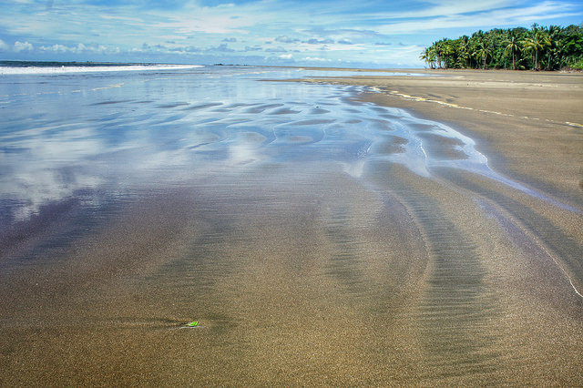 Low tide magic