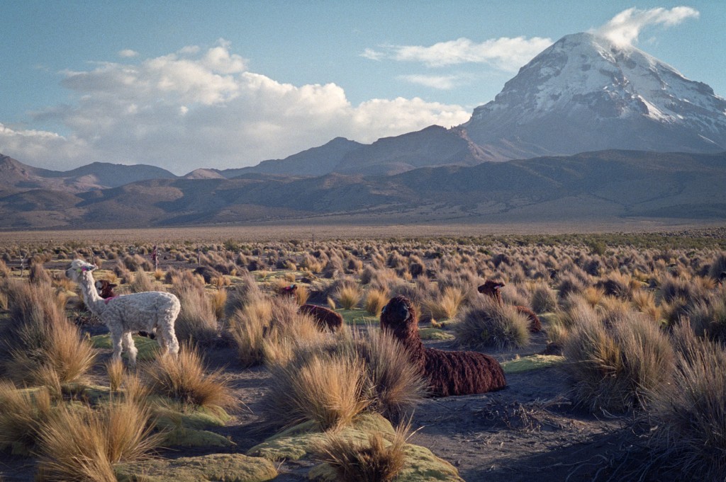 Sajama | © Jen Morgan/Flickr