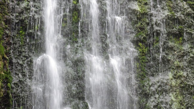 Karekare Falls, Waitakere Ranges | © Robert Linsdell/Flickr