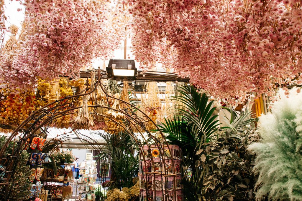 Where to Buy Flowers in Amsterdam