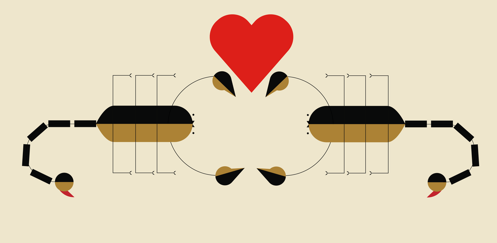 Amazing Animal Courtship Rituals and Where to Find Them