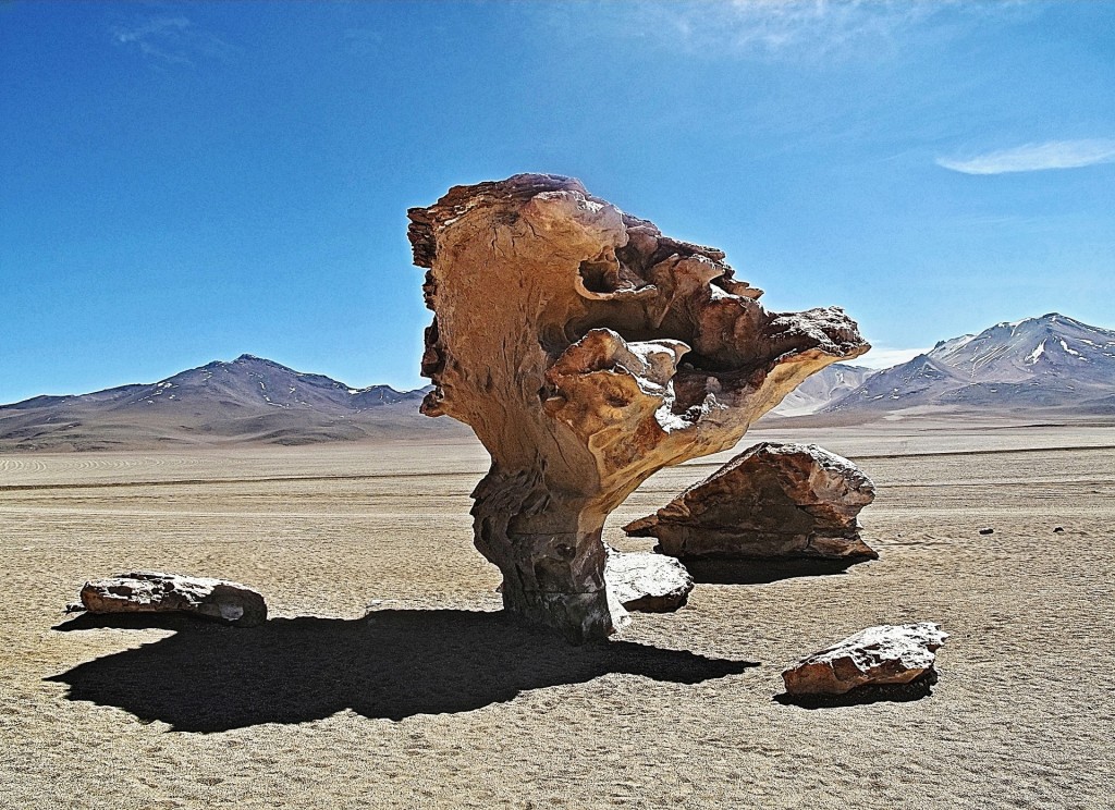 Stone Tree | © capobleu2a/Flickr