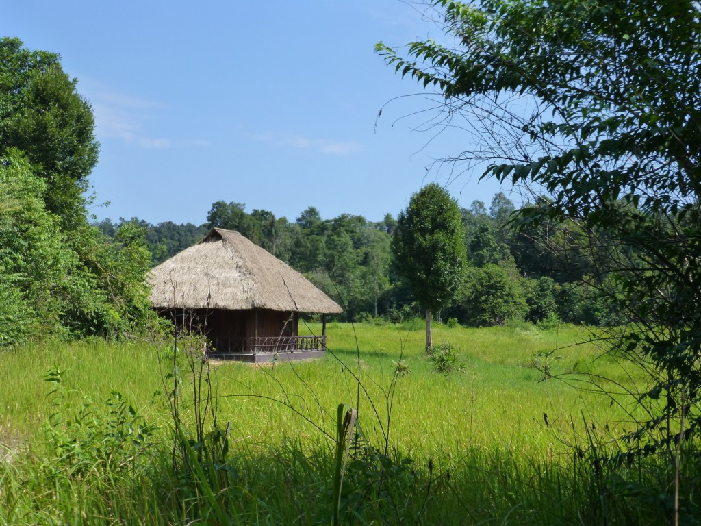 One of the huts guests stay in during a visit to Wildlife Alliance's wildlife release station © Wildlife Alliance