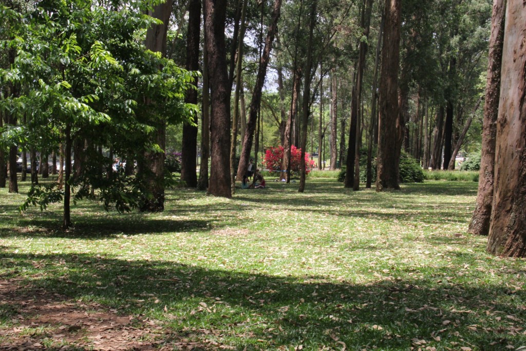 Ibirapuera Park São Paulo © Lesanta/Flickr