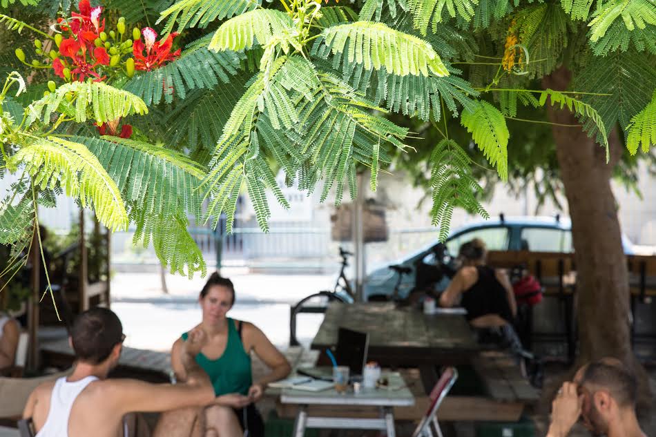 Cafe Shapira is the hot new cafe in southern Tel Aviv | © Yifat Yogev, courtesy
