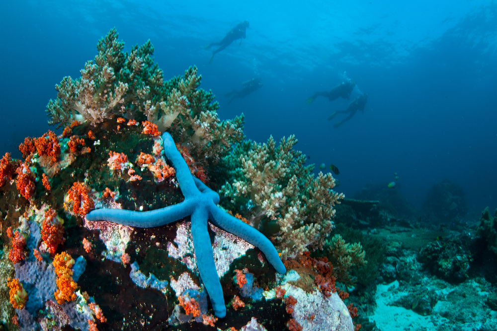 © Ethan Daniels / Shutterstock
