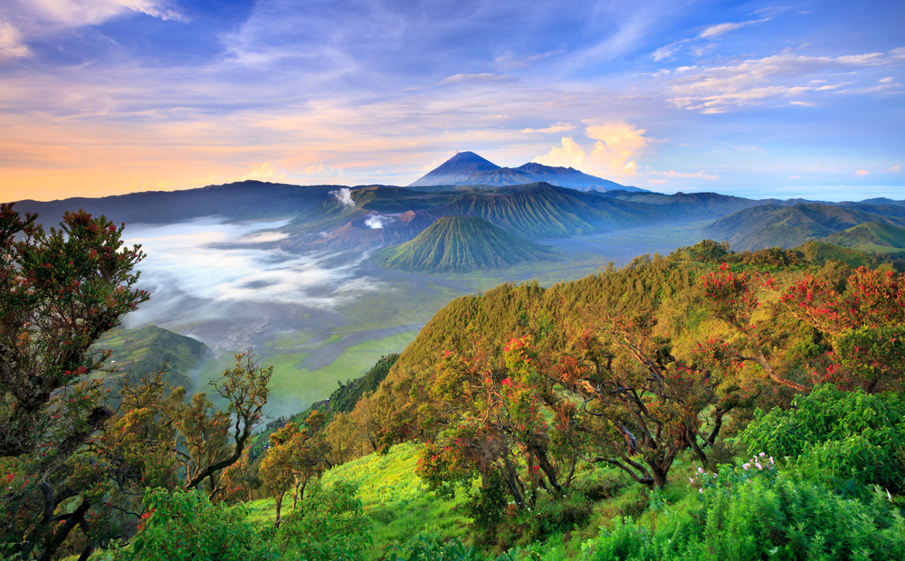 © kunl / Shutterstock