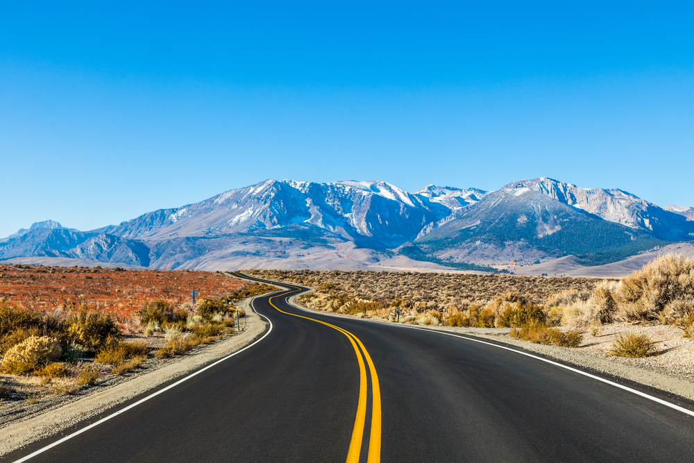 © Turtix / Shutterstock