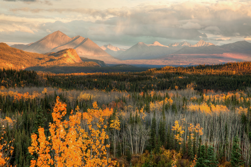 Denali | © Gail Johnson / Shutterstock